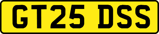 GT25DSS