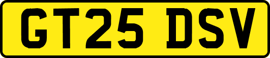 GT25DSV