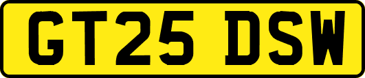 GT25DSW