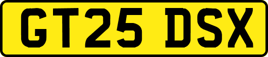 GT25DSX