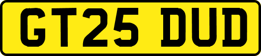 GT25DUD