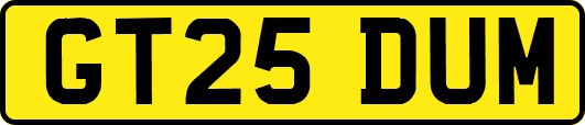 GT25DUM