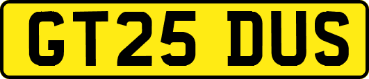 GT25DUS