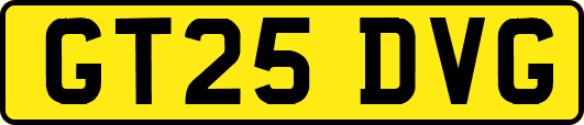 GT25DVG