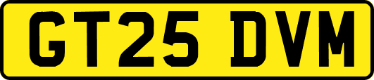 GT25DVM
