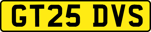 GT25DVS