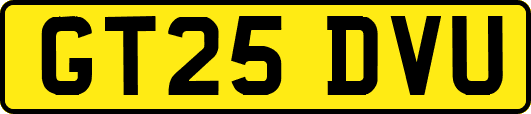 GT25DVU
