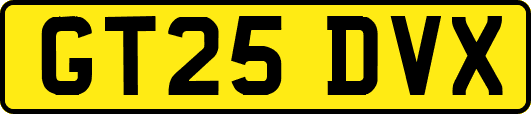 GT25DVX