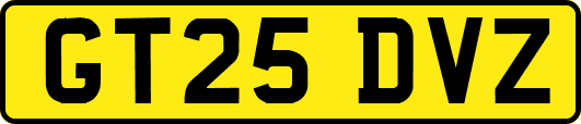 GT25DVZ