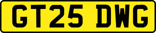 GT25DWG