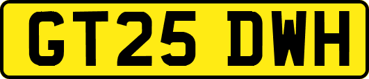 GT25DWH