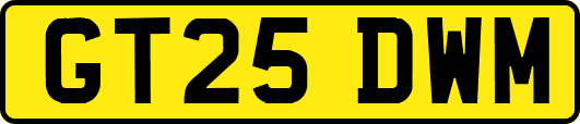 GT25DWM
