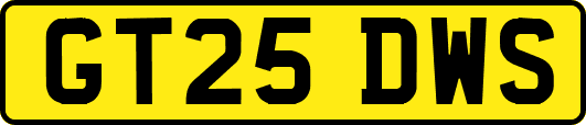 GT25DWS