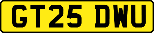 GT25DWU