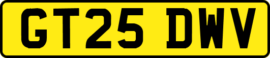 GT25DWV