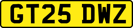 GT25DWZ