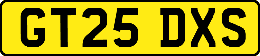 GT25DXS