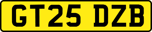 GT25DZB