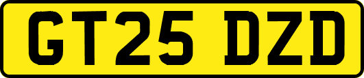 GT25DZD