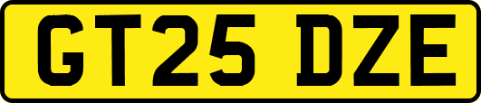GT25DZE