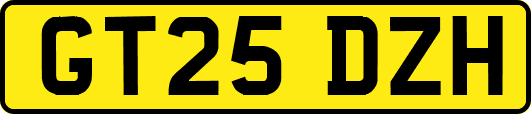 GT25DZH