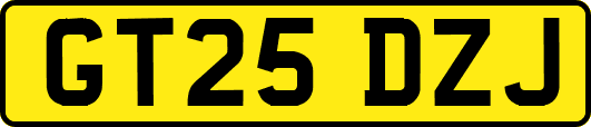 GT25DZJ