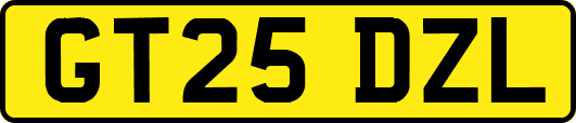 GT25DZL