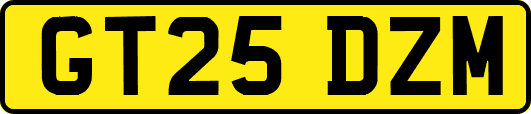 GT25DZM