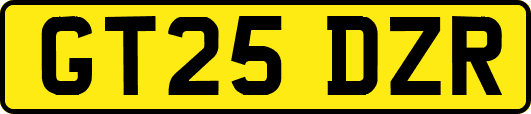 GT25DZR