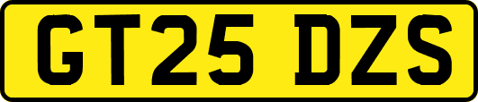 GT25DZS