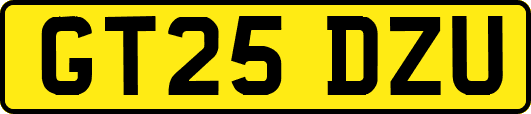 GT25DZU