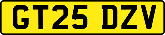 GT25DZV