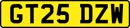 GT25DZW
