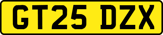 GT25DZX
