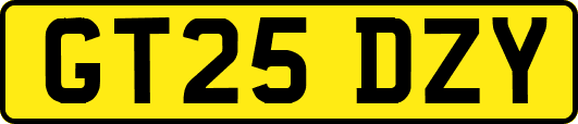 GT25DZY