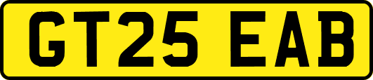 GT25EAB