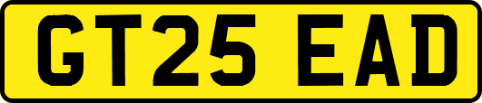 GT25EAD