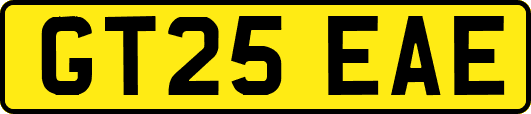 GT25EAE