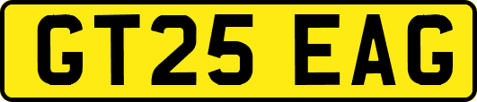 GT25EAG
