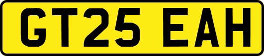 GT25EAH