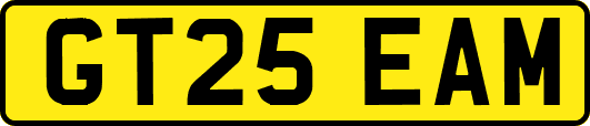 GT25EAM