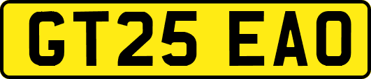 GT25EAO