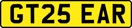 GT25EAR