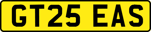 GT25EAS