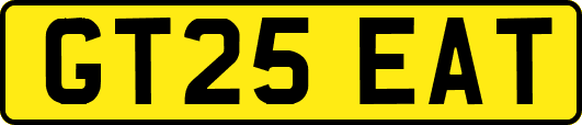 GT25EAT