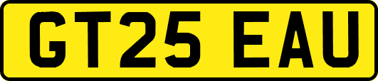 GT25EAU