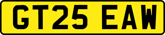 GT25EAW