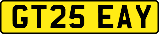GT25EAY