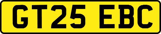 GT25EBC