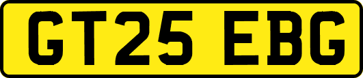GT25EBG